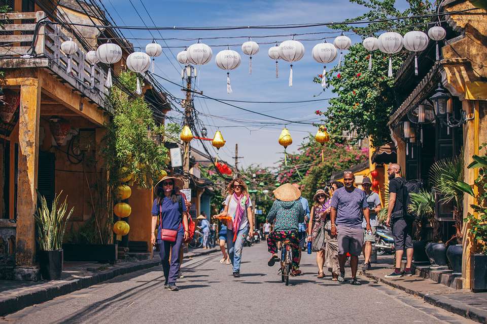 Premium Vietnam in Depth - undefined - Image 4