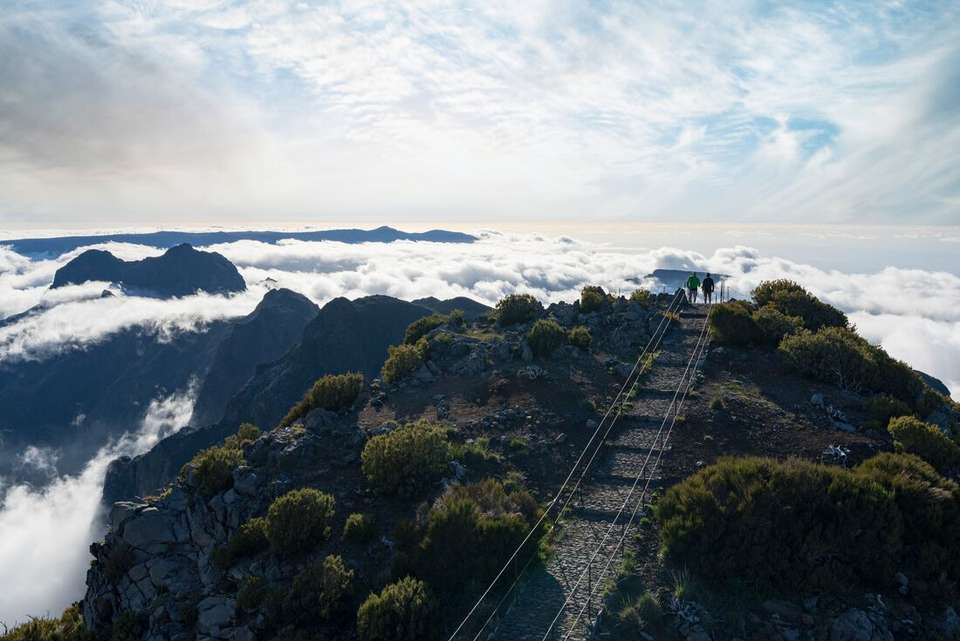 Premium Walking & Hiking in Madeira - Intrepid Travel - Portugal - Image 1