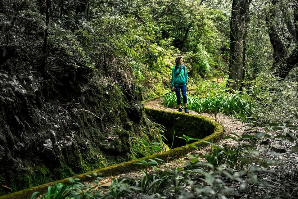 Premium Walking & Hiking in Madeira - Intrepid Travel - Portugal - Image 2