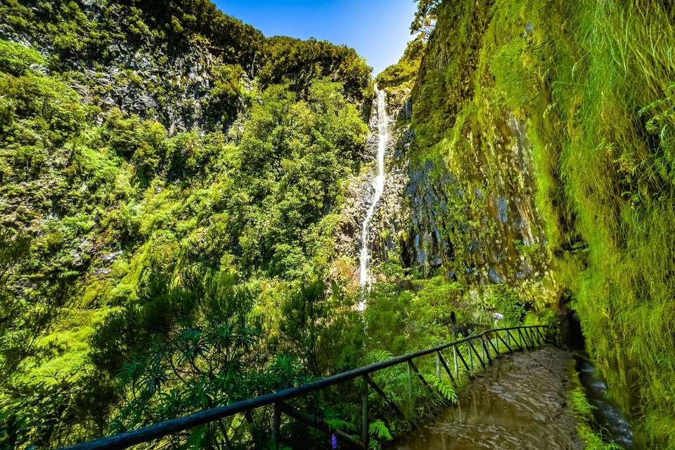 Premium Walking & Hiking in Madeira - Intrepid Travel - Portugal - Image 3