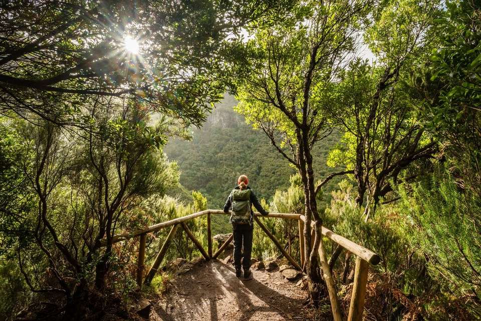Premium Walking & Hiking in Madeira - Intrepid Travel - Portugal - Image 8
