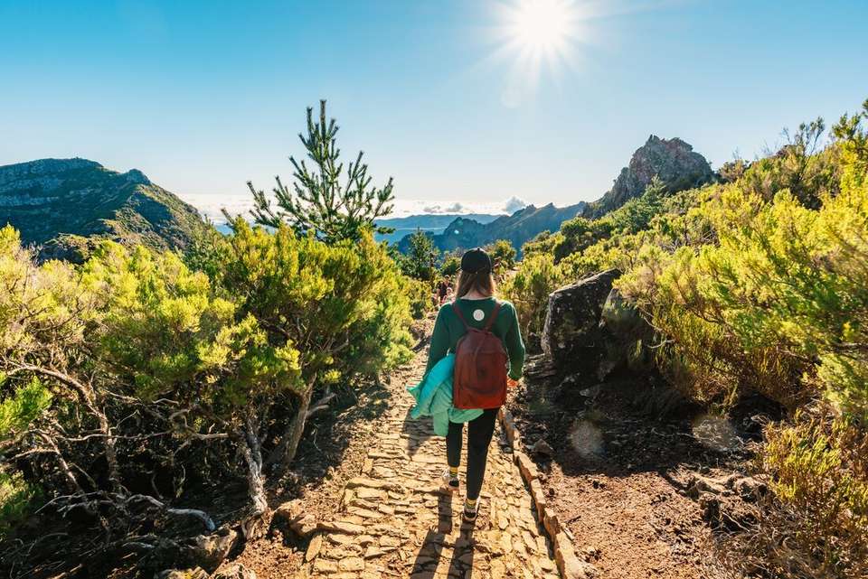 Premium Walking & Hiking in Madeira - Intrepid Travel - Portugal - Image 9