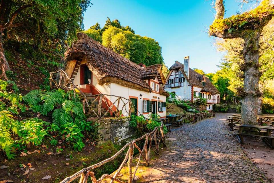 Premium Walking & Hiking in Madeira - Intrepid Travel - Portugal - Image 11