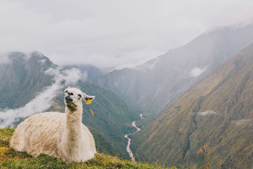 Premium Walking & Hiking in Peru - Intrepid Travel - Peru - Image 10