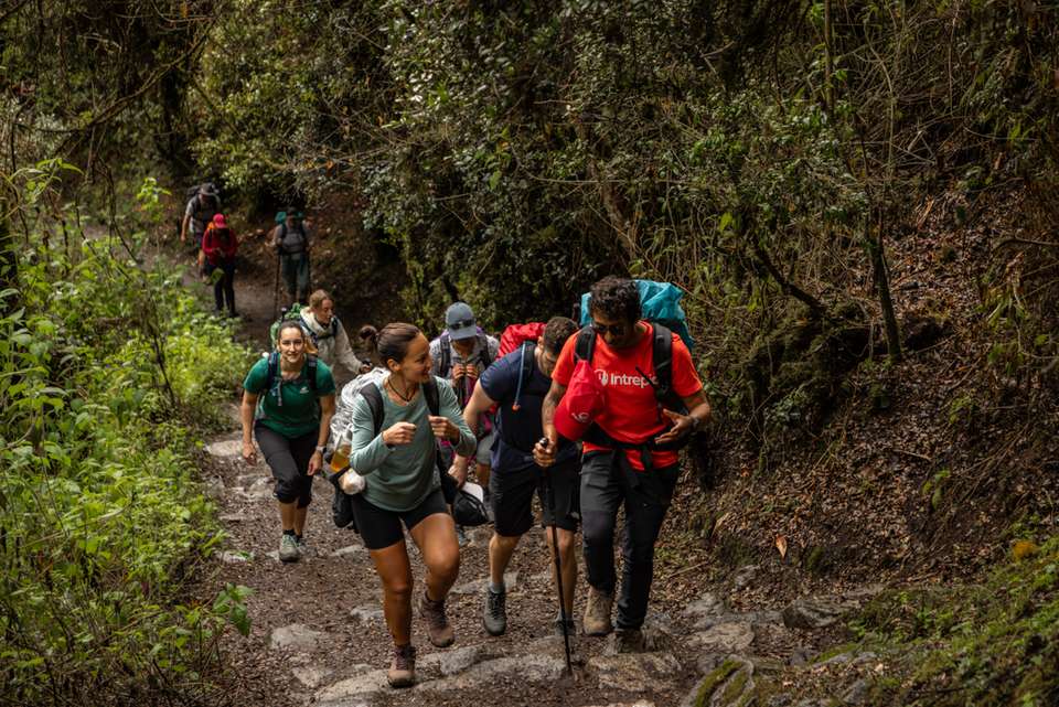 Premium Walking & Hiking in Peru - Intrepid Travel - Peru - Image 11