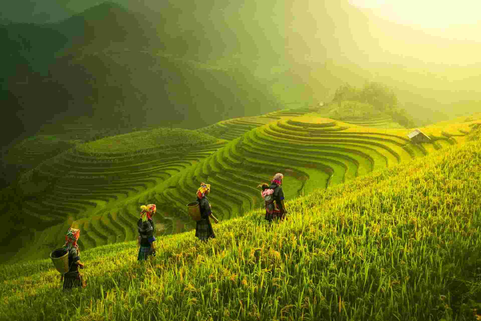 Premium Walking & Hiking in Vietnam