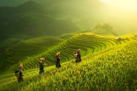 Premium Walking & Hiking In Vietnam - April 2027