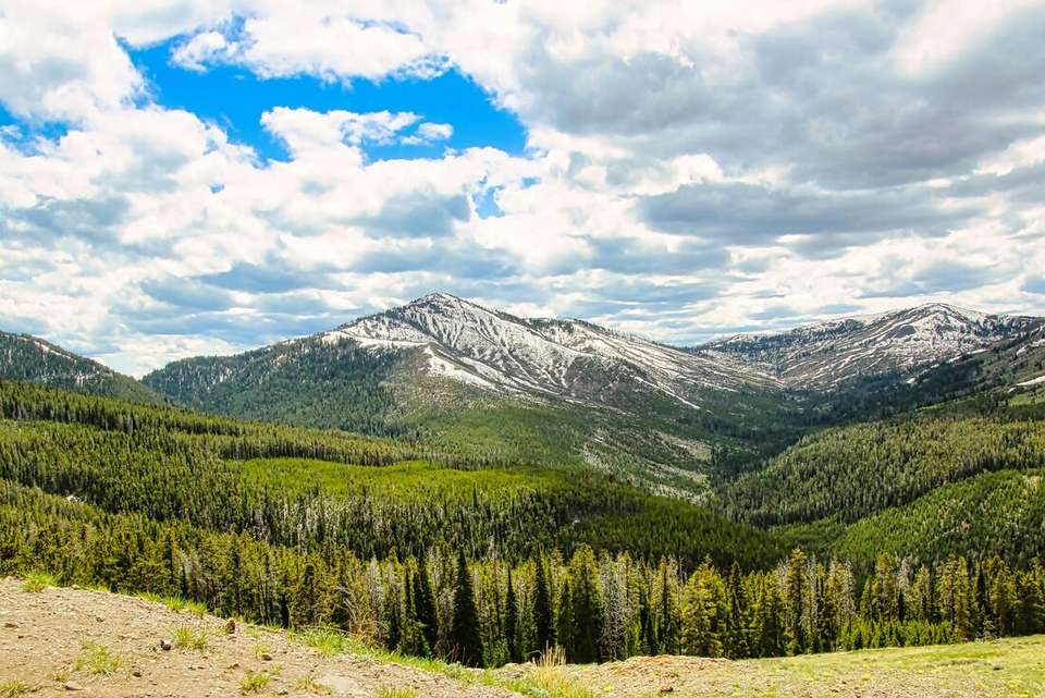 Premium Walking & Hiking in Yellowstone - Intrepid Travel - USA - Image 6