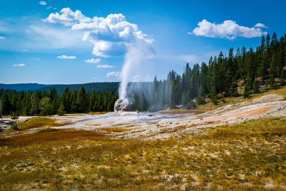 Premium Walking & Hiking in Yellowstone - Intrepid Travel - USA - Image 7