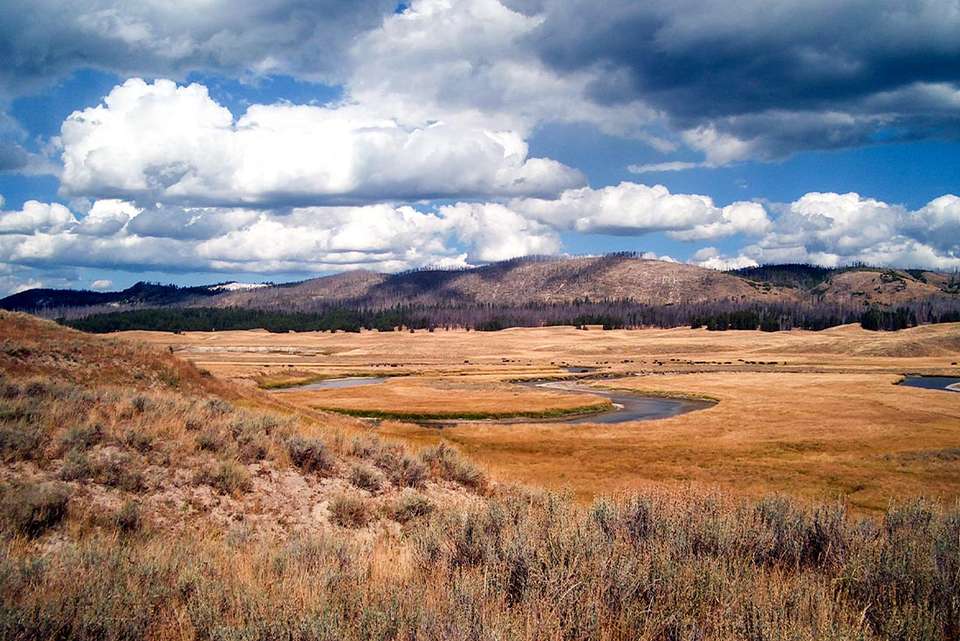Premium Walking & Hiking in Yellowstone - Intrepid Travel - USA - Image 9