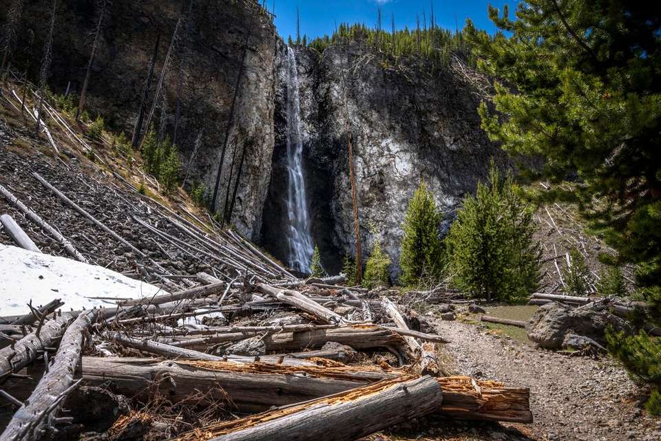 Premium Walking & Hiking in Yellowstone - Intrepid Travel - USA - Image 13