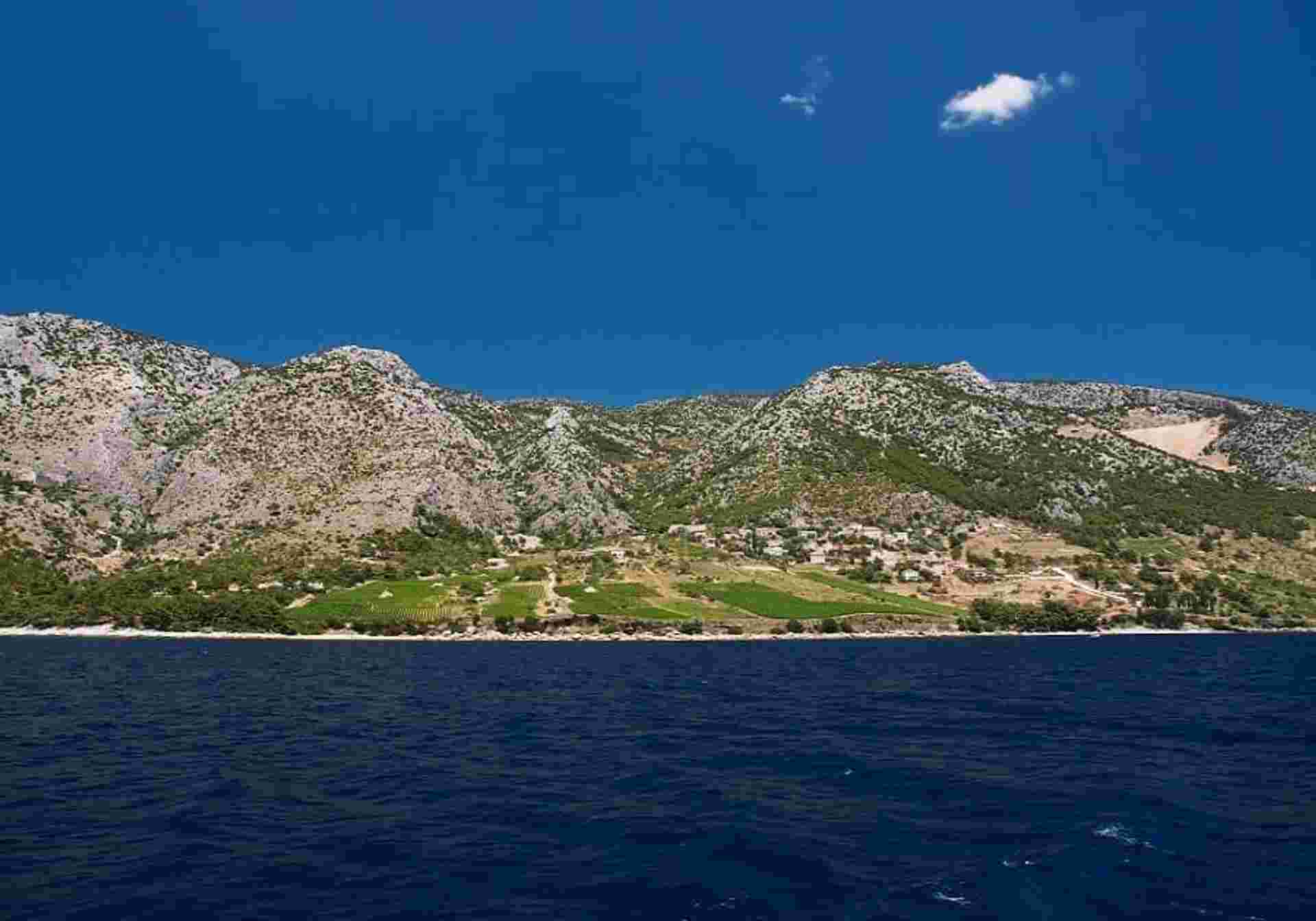 Premium Wine Cruise from Dubrovnik