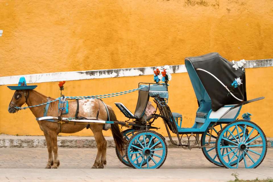 Premium Yucatan Backroads - Sat Mexico Tour And Travel - Mexico - Image 2