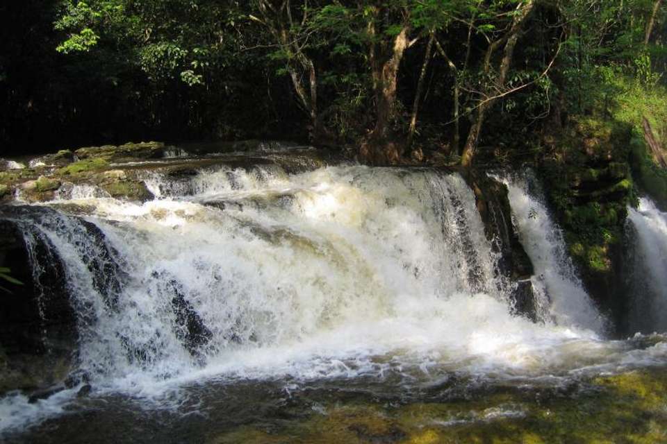 Presidente Figueiredo Waterfalls - Tangol Tours - Brazil - Image 2