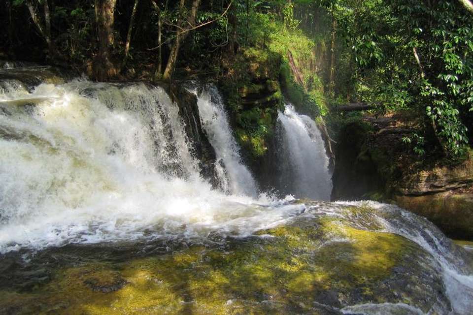 Presidente Figueiredo Waterfalls - Tangol Tours - Brazil - Image 4