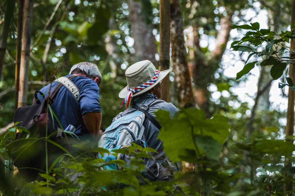 Primates & Dragons of Indonesia - Exodus Adventure Travels - Indonesia - Image 16