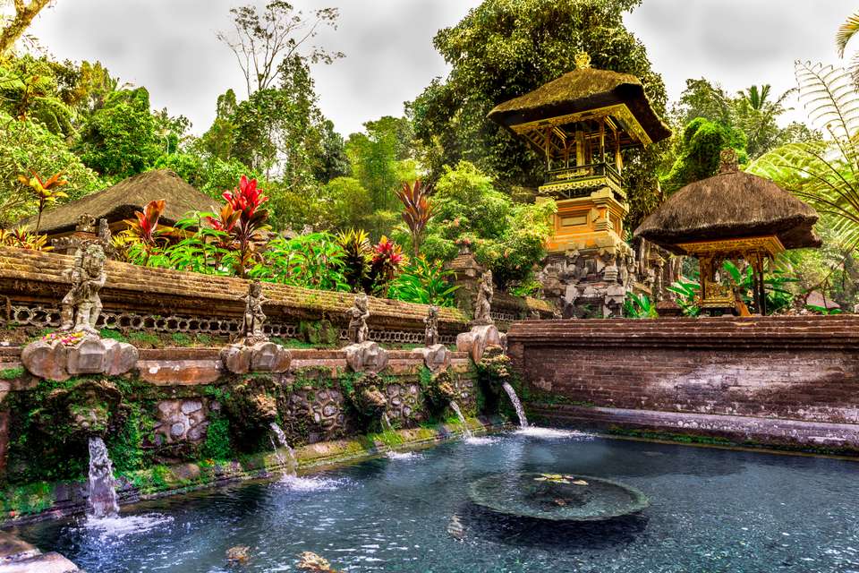 Primates & Dragons of Indonesia - Exodus Adventure Travels - Indonesia - Image 8
