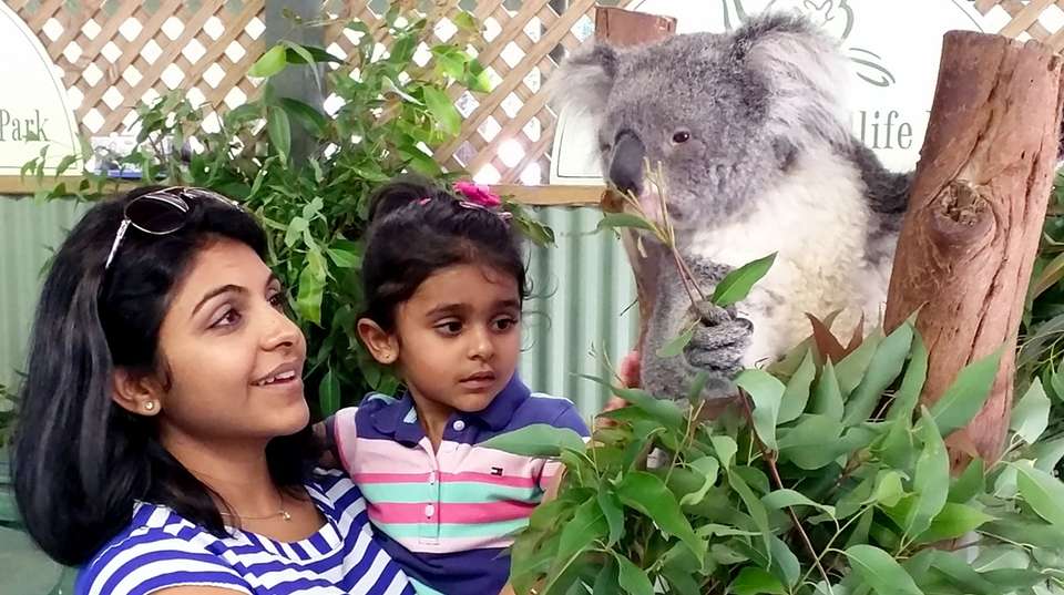 Private Blue Mountains Tour - Runaway Tours - Australia - Image 2