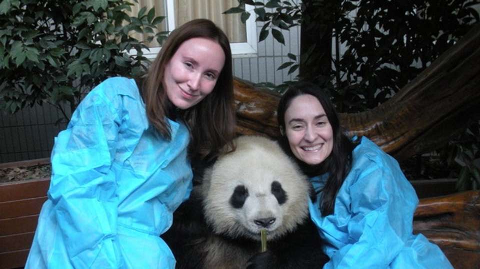 Private Chengdu Panda Tour - Full-Day Adventure - Private Beijing Trips - China - Image 3