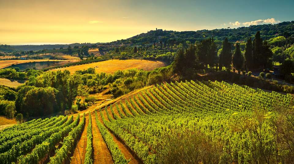 Private Gourmet Wine Tour in Tuscany - Soleto Travel - Italy - Image 2