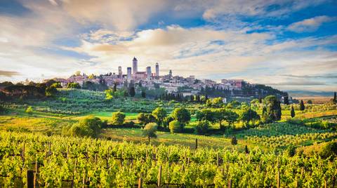 Private Gourmet Wine Tour In Tuscany - August 2027