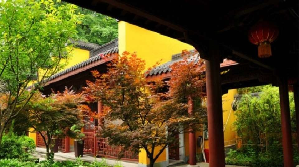 Private Hangzhou & Wuzhen Water Town trip - Shanghai Advisor Tour - China - Image 2