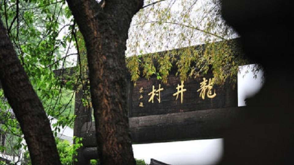 Private Hangzhou & Wuzhen Water Town trip - Shanghai Advisor Tour - China - Image 6