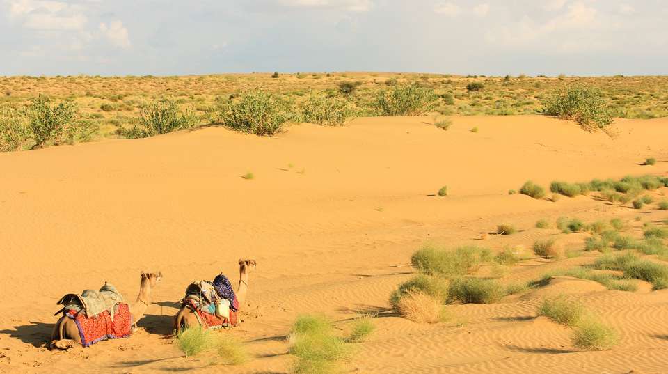 Private Jodhpur City Tour With Camel Safari - Balaji Forex Tours & Travels - India - Image 3