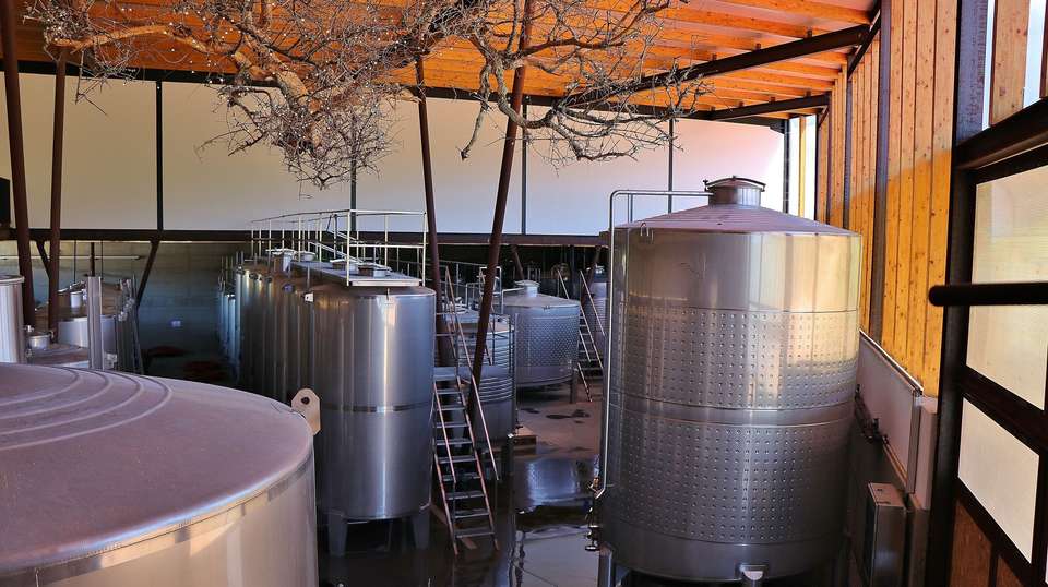 Private Setúbal Region Wine Tasting Tour - Takinguthere - Tut Travel Lda - Portugal - Image 6