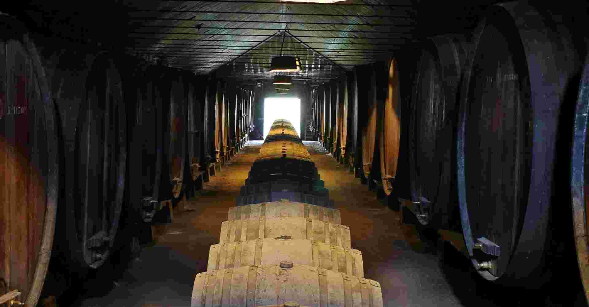 Private Setúbal Region Wine Tasting Tour