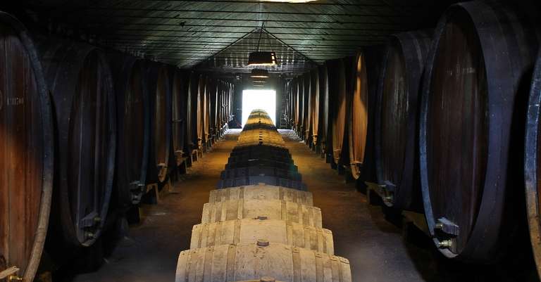 Private Setúbal Region Wine Tasting Tour - September 2027