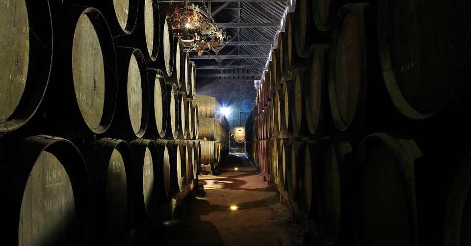 Private Setúbal Region Wine Tasting Tour - Takinguthere - Tut Travel Lda - Portugal - Image 2