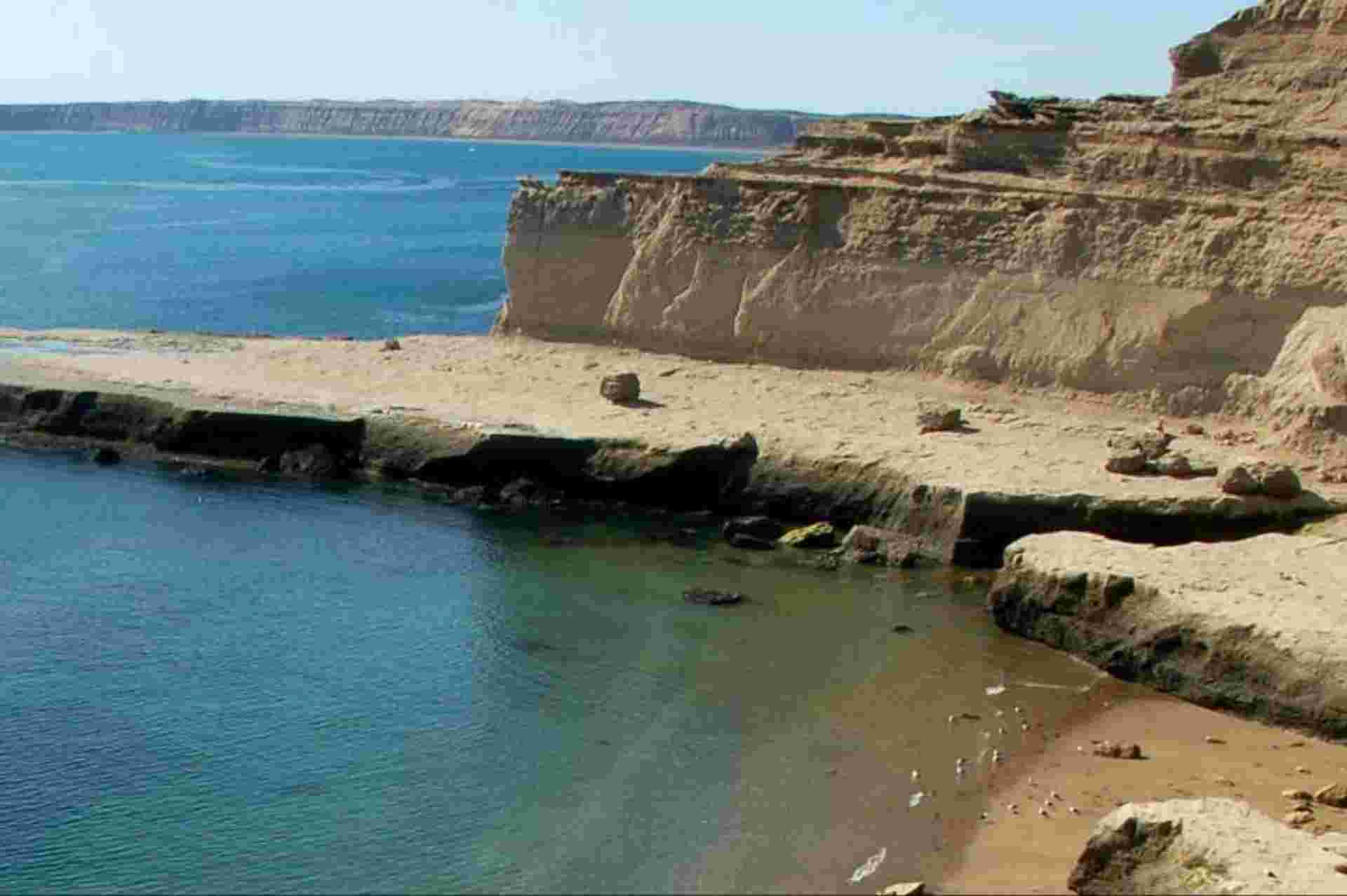Private Shore Excursion: Peninsula Valdes Day Trip