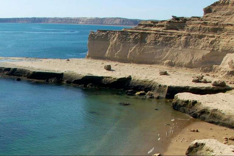 Private Shore Excursion: Peninsula Valdes Day Trip trip - alternative tour available