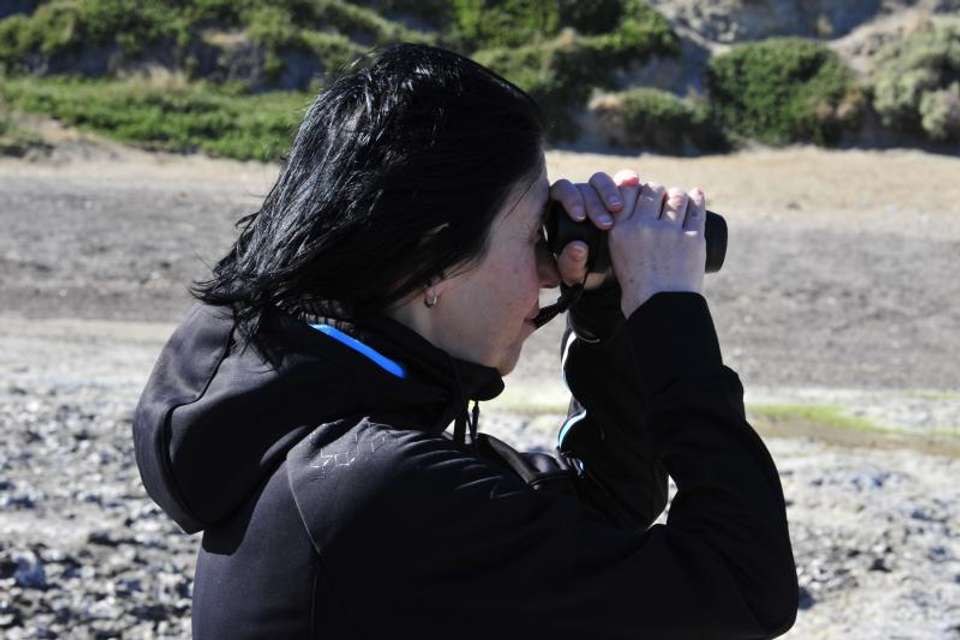 Private Shore Excursion: Peninsula Valdes Day Trip - Tangol Tours - Argentina - Image 6