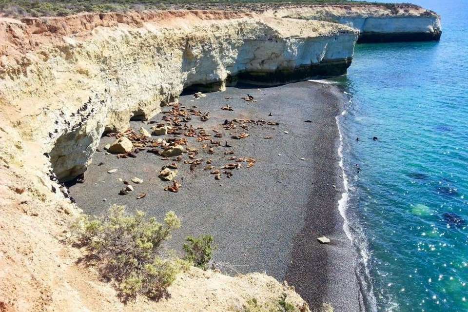Private Shore Excursion: Puerto Madryn City Tour and Sea lions - Tangol Tours - Argentina - Image 7