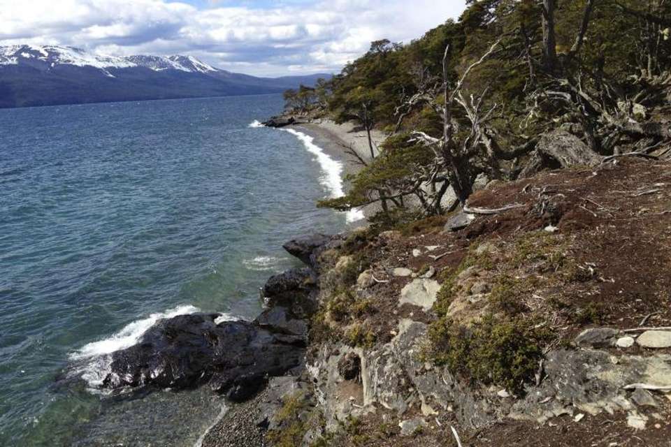 Private Tierra Del Fuego National Park Tour - Tangol Tours - Argentina - Image 1