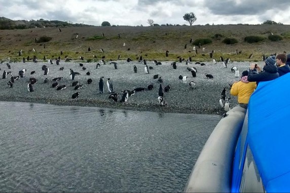Image 5 of 6