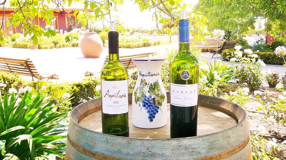 Private tour: Snow, Mountain & Wine Tour - All in one!  - Chile Off Track - Chile - Image 5