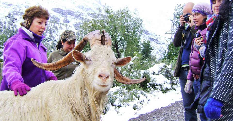 Private tour: Snow, Mountain & Wine Tour - All in one!  - Chile Off Track - Chile - Image 2