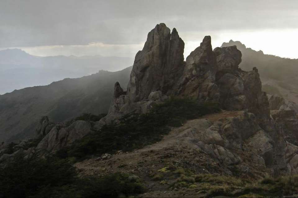 Private Trek to Cerro Bella Vista - undefined - Image 4