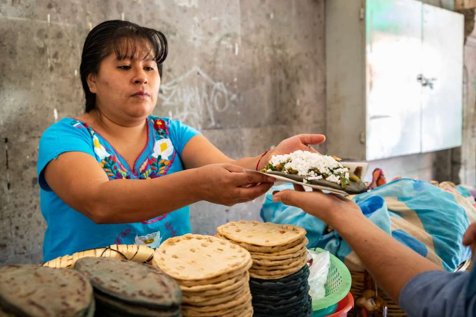Xochimilco Flavours and Traditions - undefined - Image 4