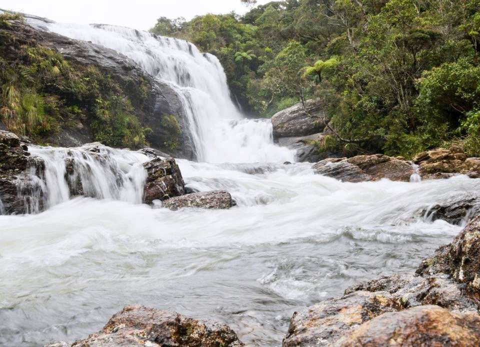 Birder's Paradise Sri Lanka, Private Tour - Destination Services - Sri Lanka - Image 16