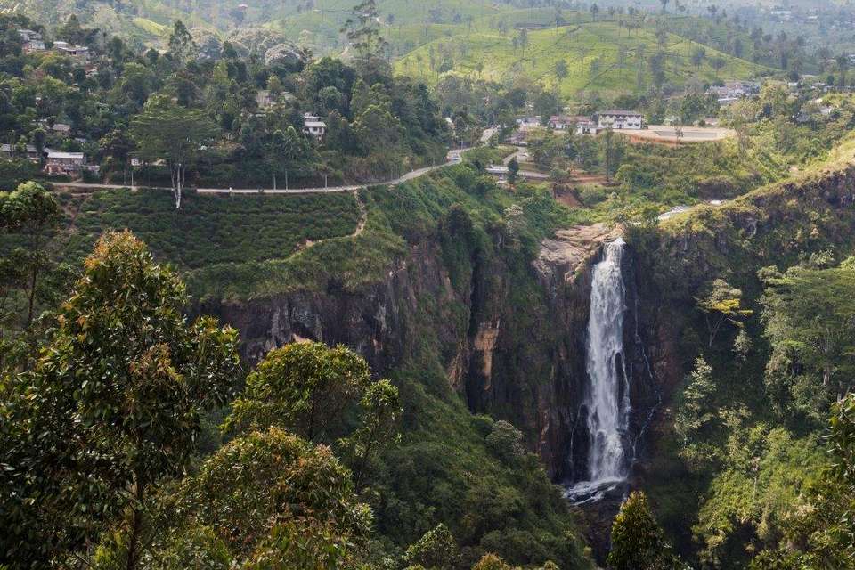 Birder's Paradise Sri Lanka, Private Tour - Destination Services - Sri Lanka - Image 14
