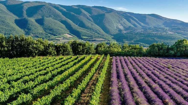 France Local culture Tour: Provencal Hidden Gems