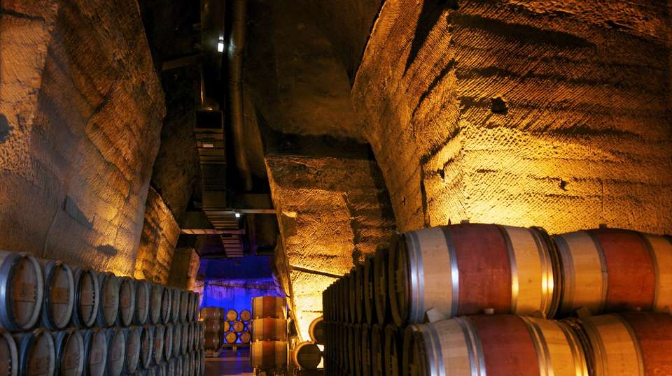 Provencal Hidden Gems - So Provence, So Alps! - France - Image 2