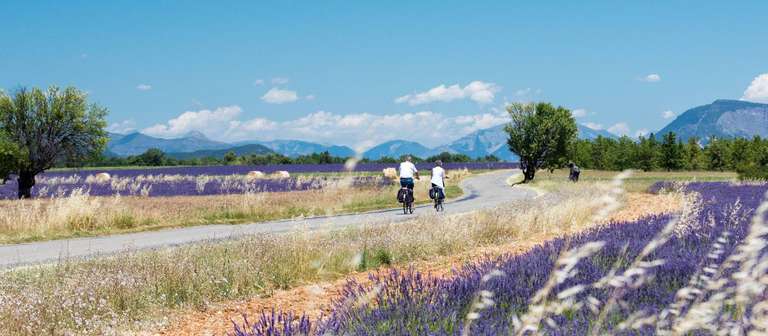 Provence Backroads trip - alternative tour available