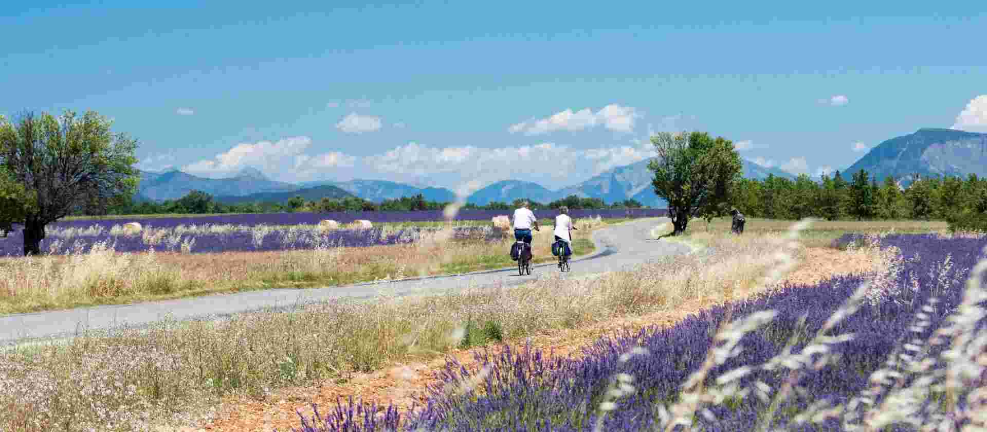 Provence Backroads