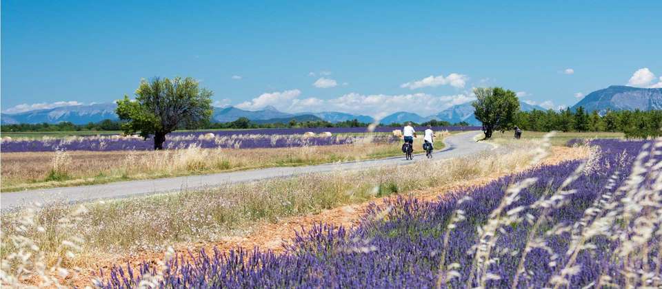 Provence Bike & Boat - Utracks - France - Image 5