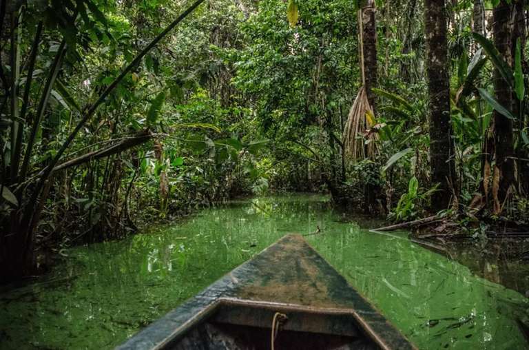 Puerto Maldonado Amazon Budget Eco-Lodge 3D/2N trip - alternative tour available